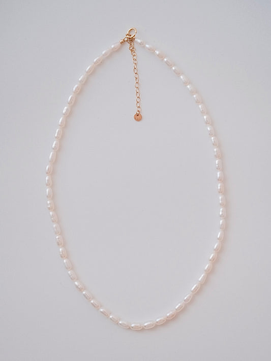 Curiosity - Classic Oval Freshwater Pearl Choker Necklace, Minimalist Jewelry